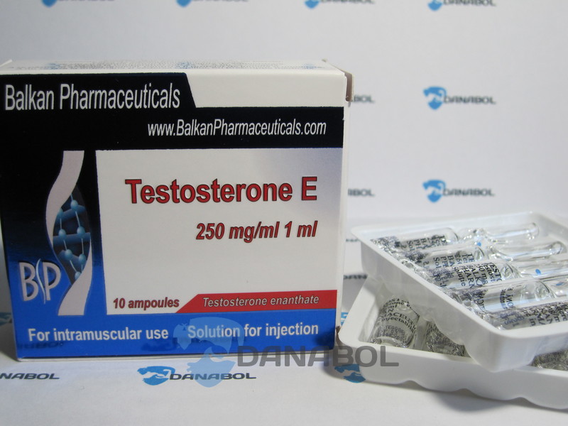 Тестостерон Энантат (Balkanpharma 250 мг/мл 10 ампул, Молдова)