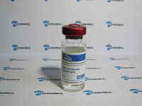 Тестостерон Энантат ERGO 300 (300 мг/мл Бельгия)
